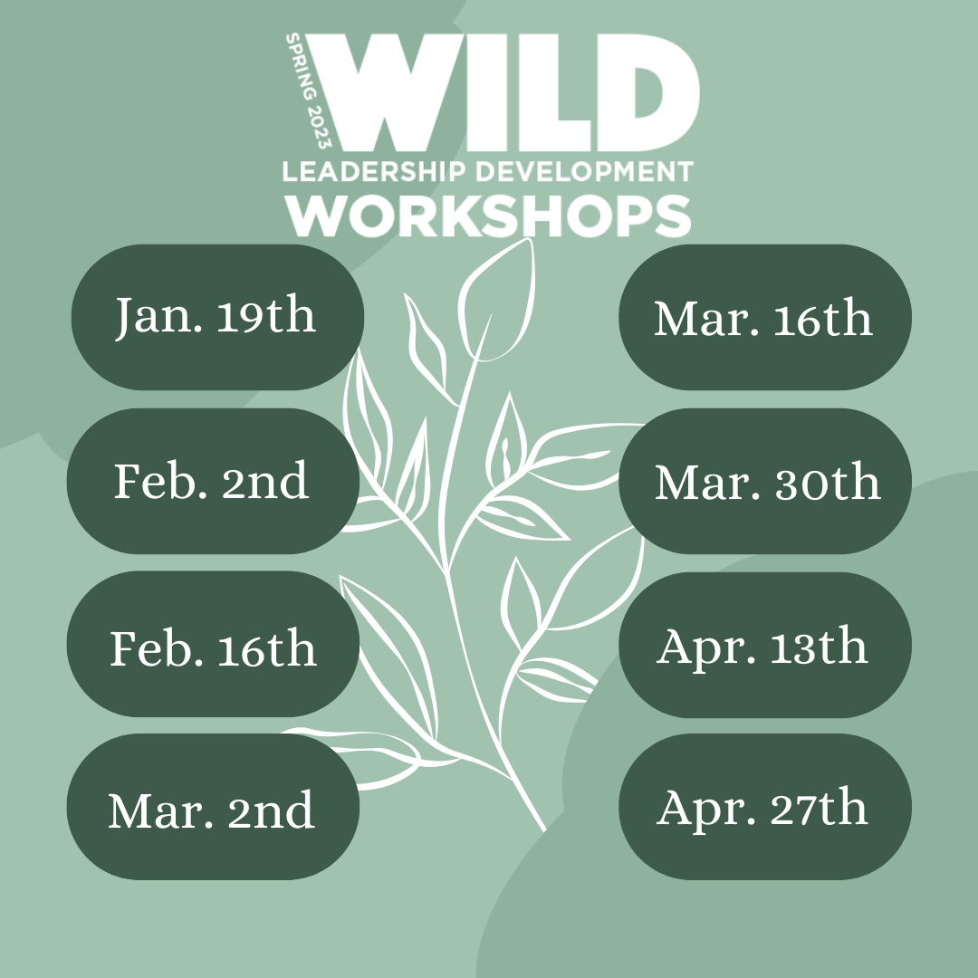 WILD 23 workshop schedule
